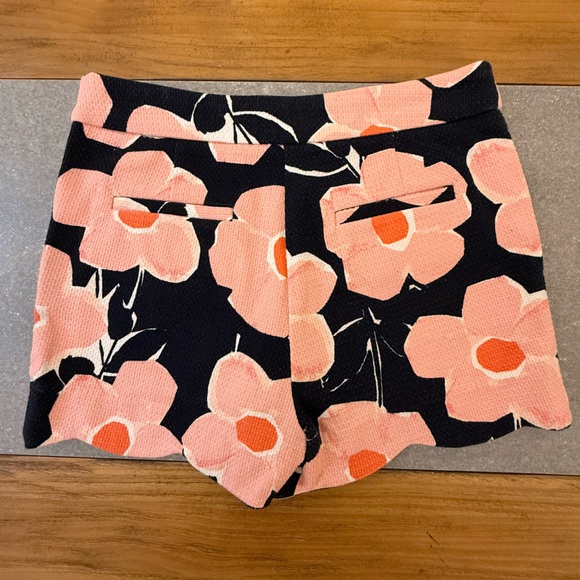 Anthropologie Geordie Scalloped Textured Shorts Size 2 NWOT - Picture 4 of 12